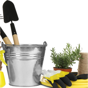 productos image 05