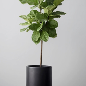 productos image 06