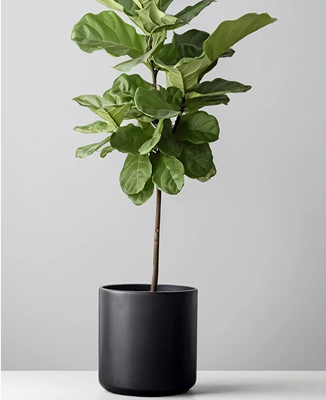 productos image 06